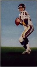 Sports Art Painting of Jeff Hostetler